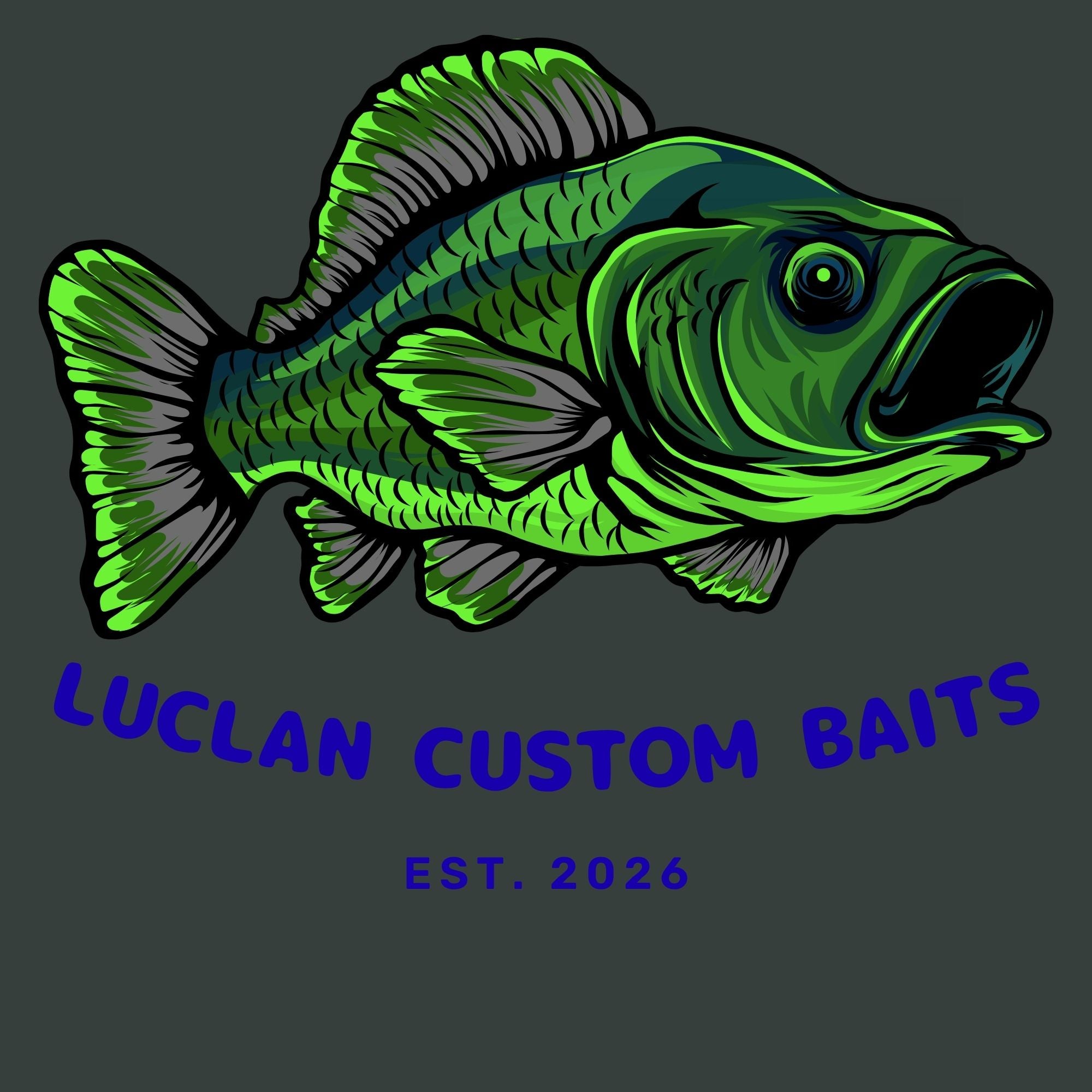 LUCLAN Custom Baits